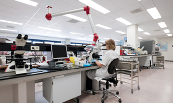 Woman in Laboratory